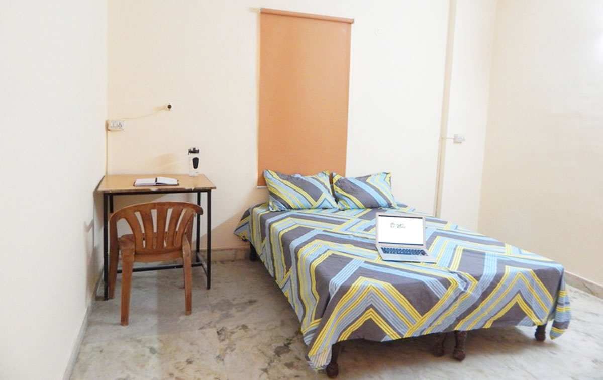 Helloworld Whitelily 3.jpg