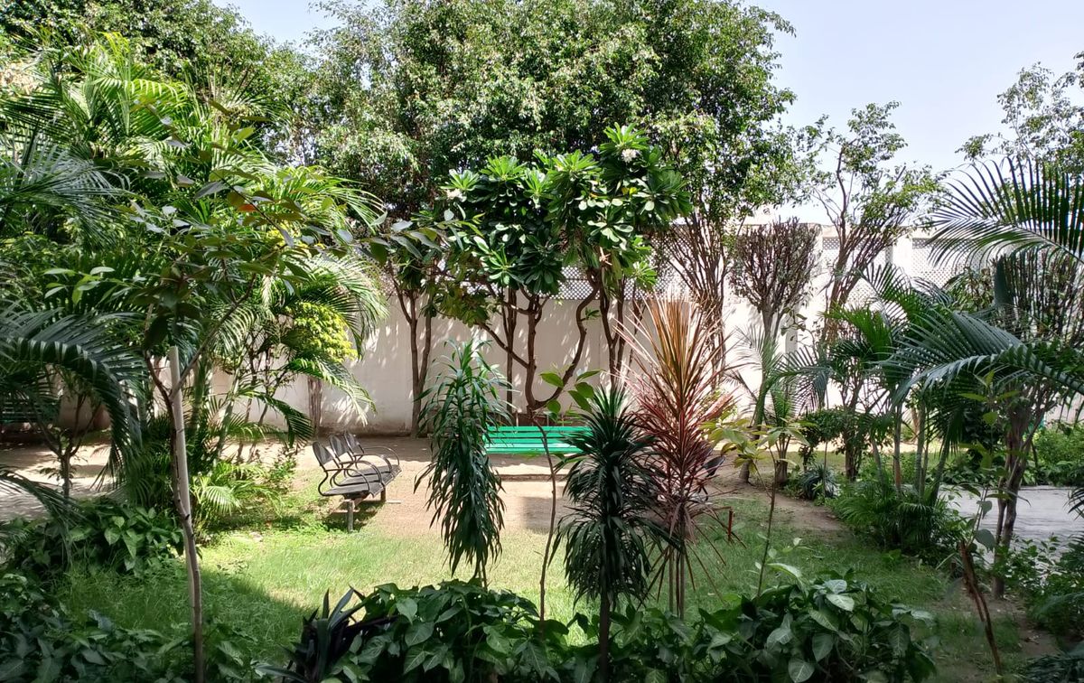 WhatsApp Image 2024-01-16 at 16.25.15.jpeg