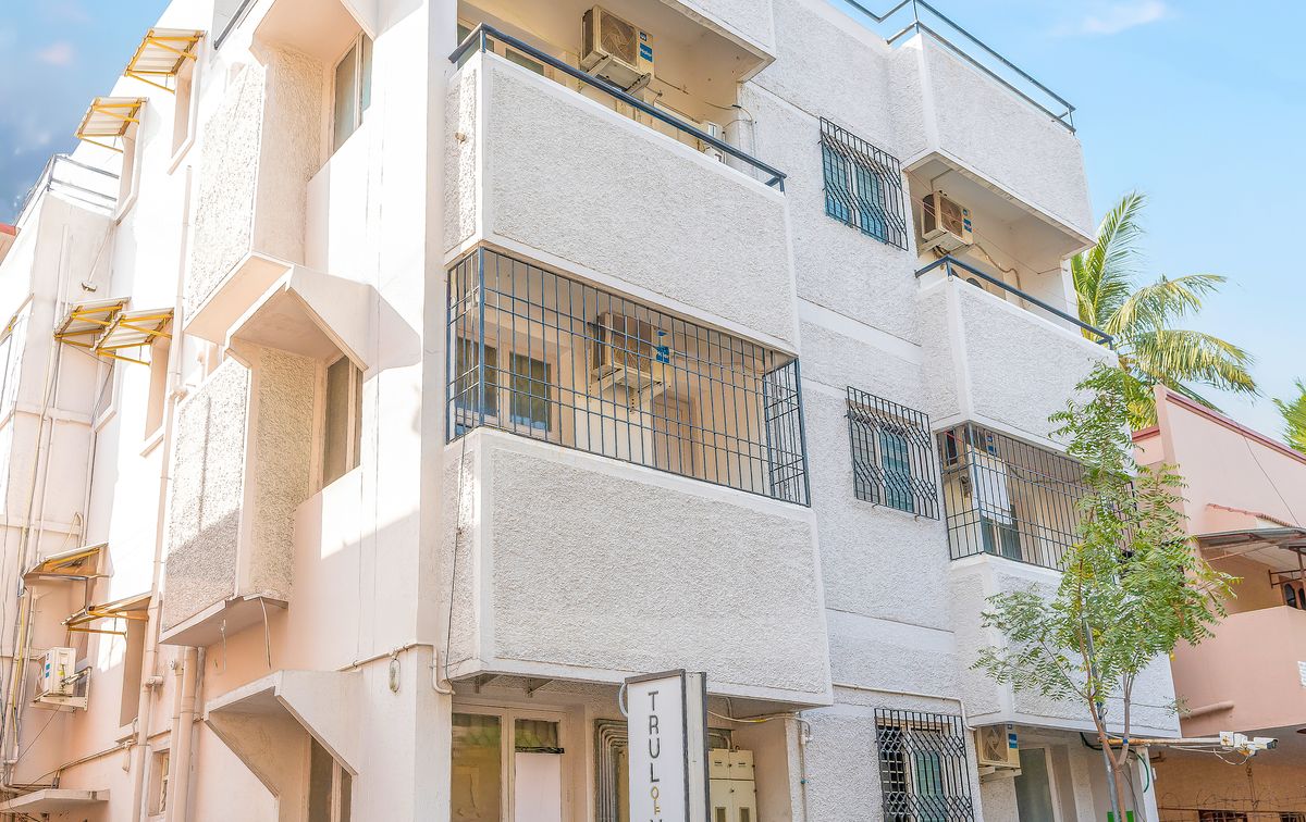 Trulivalthea1346 copy.jpg