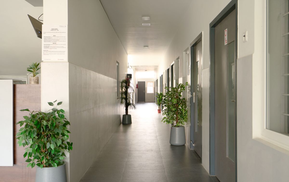 TrulivAtlas4127 copy-1.jpg