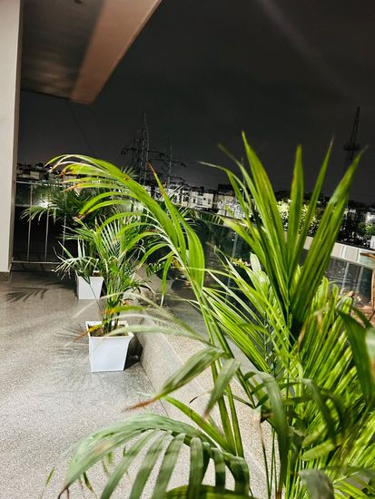 WhatsApp Image 2024-07-11 at 16.51.06.jpeg