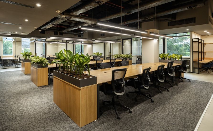 ddn dedicatede 2.jpg